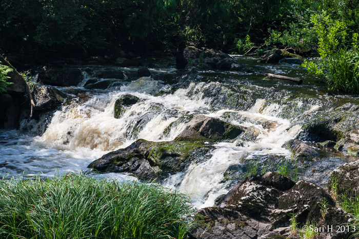 2013-06-03_EOS5D_Myllykoski (42)